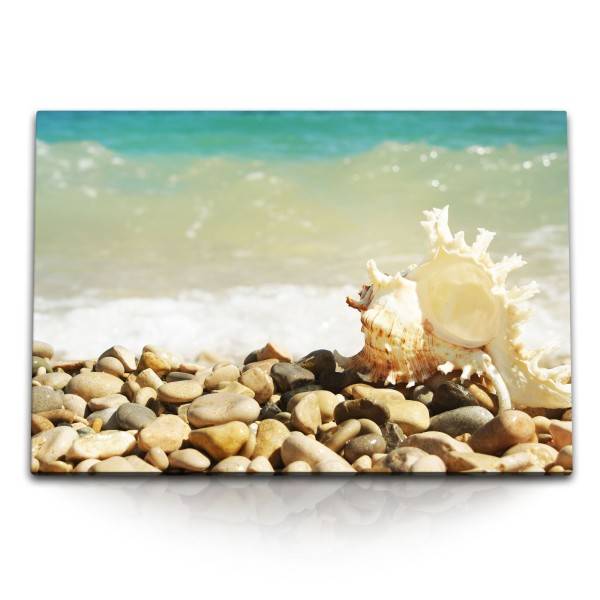 Paul Sinus Art 120x80cm Wandbild auf Leinwand Meeresschnecke Muschel Strand Meer runde Steine