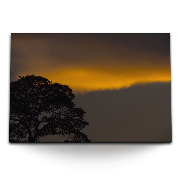 Paul Sinus Art 120x80cm Wandbild auf Leinwand Abenddämmerung Baum Nacht Sonnenuntergang Natur