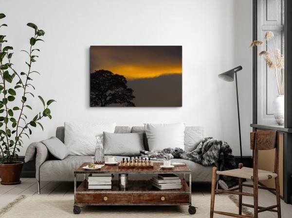 Paul Sinus Art 120x80cm Wandbild auf Leinwand Abenddämmerung Baum Nacht Sonnenuntergang Natur Heißer Verkauf