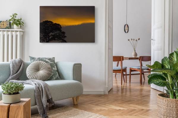 Paul Sinus Art 120x80cm Wandbild auf Leinwand Abenddämmerung Baum Nacht Sonnenuntergang Natur Heißer Verkauf