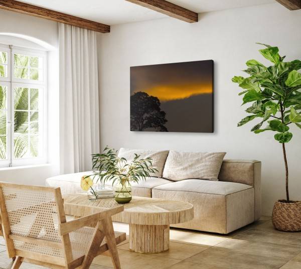 Paul Sinus Art 120x80cm Wandbild auf Leinwand Abenddämmerung Baum Nacht Sonnenuntergang Natur Heißer Verkauf