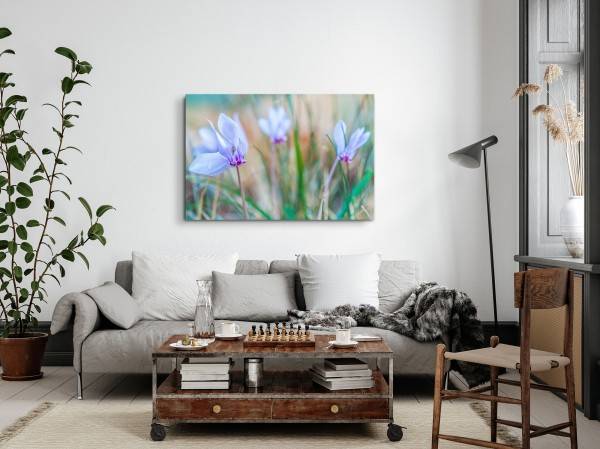 Paul Sinus Art 120x80cm Wandbild auf Leinwand Blaue Feldblumen Wildblumen Blumen Natur Frühling Top Angebot