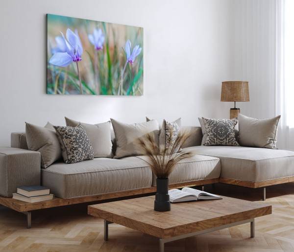 Paul Sinus Art 120x80cm Wandbild auf Leinwand Blaue Feldblumen Wildblumen Blumen Natur Frühling Top Angebot