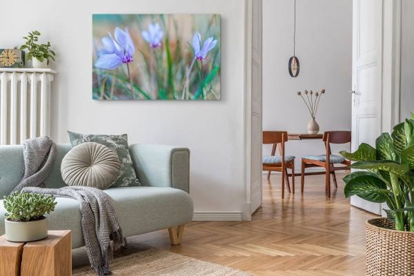 Paul Sinus Art 120x80cm Wandbild auf Leinwand Blaue Feldblumen Wildblumen Blumen Natur Frühling Top Angebot