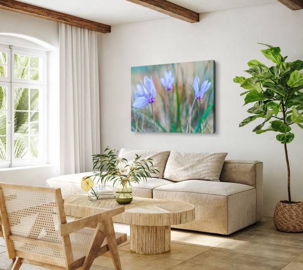 Paul Sinus Art 120x80cm Wandbild auf Leinwand Blaue Feldblumen Wildblumen Blumen Natur Frühling Top Angebot