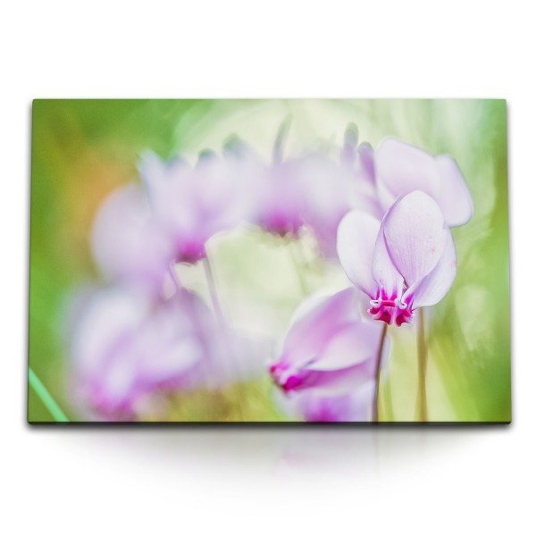 Paul Sinus Art 120x80cm Wandbild auf Leinwand Orchidee Rosa Grün Fotokunst Natur Blume