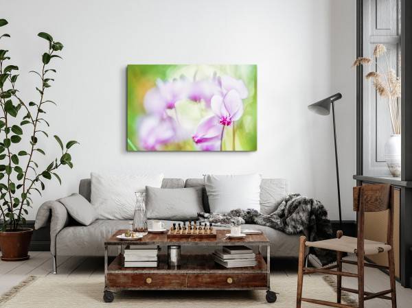 Paul Sinus Art 120x80cm Wandbild auf Leinwand Orchidee Rosa Grün Fotokunst Natur Blume Neueste Mode