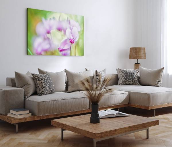 Paul Sinus Art 120x80cm Wandbild auf Leinwand Orchidee Rosa Grün Fotokunst Natur Blume Neueste Mode
