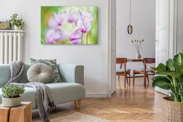 Paul Sinus Art 120x80cm Wandbild auf Leinwand Orchidee Rosa Grün Fotokunst Natur Blume Neueste Mode