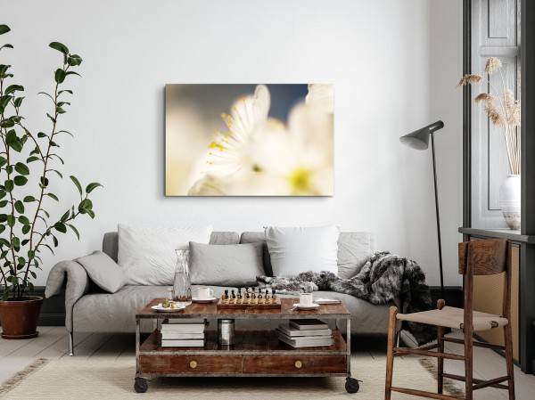 Paul Sinus Art 120x80cm Wandbild auf Leinwand Makrofotografie weiße Blumen Blüten Kunstvoll Blitzangebot