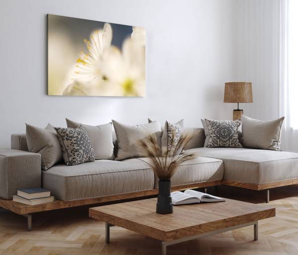 Paul Sinus Art 120x80cm Wandbild auf Leinwand Makrofotografie weiße Blumen Blüten Kunstvoll Blitzangebot