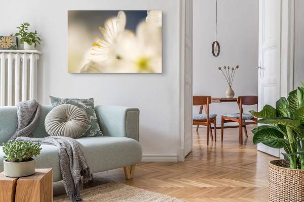 Paul Sinus Art 120x80cm Wandbild auf Leinwand Makrofotografie weiße Blumen Blüten Kunstvoll Blitzangebot
