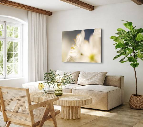Paul Sinus Art 120x80cm Wandbild auf Leinwand Makrofotografie weiße Blumen Blüten Kunstvoll Blitzangebot