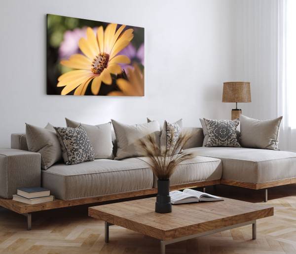 Paul Sinus Art 120x80cm Wandbild auf Leinwand Frühling gelbe Blume Blüte Nahaufnahme Große Rabatte
