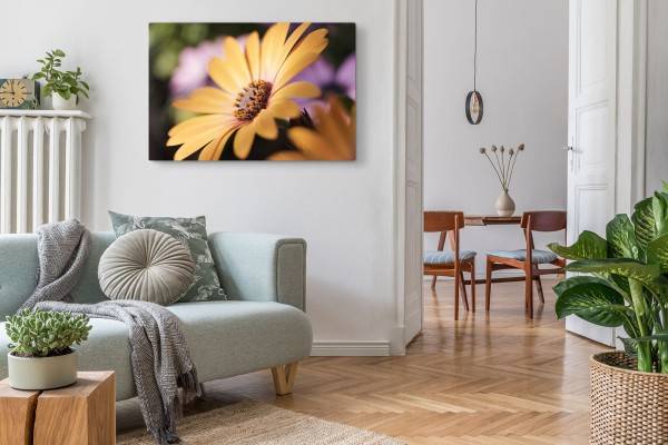 Paul Sinus Art 120x80cm Wandbild auf Leinwand Frühling gelbe Blume Blüte Nahaufnahme Große Rabatte