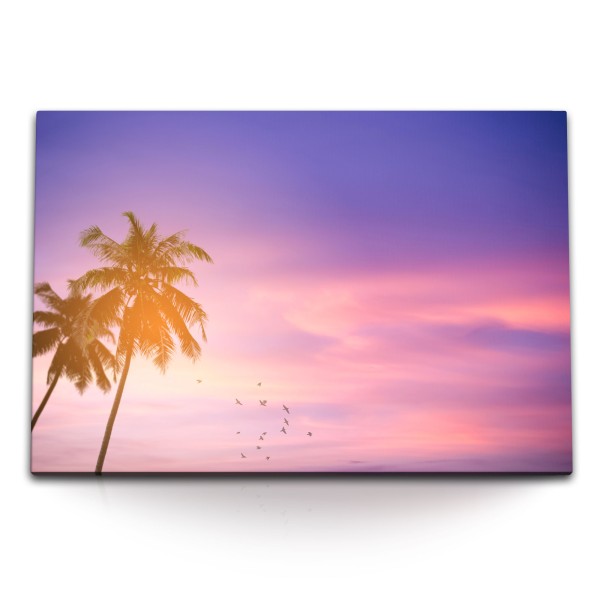 Paul Sinus Art 120x80cm Wandbild auf Leinwand Palmen Karibik rosa Himmel Sonnenuntergang Vögel