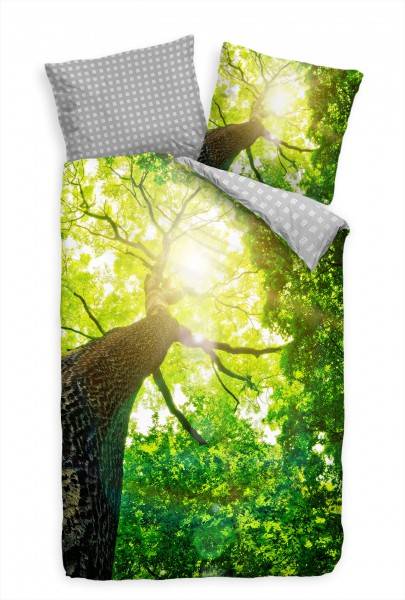 Paul Sinus Art Wald Grn Licht Baumstamm Bettwäsche Set 135x200 cm + 80x80cm Atmungsaktiv