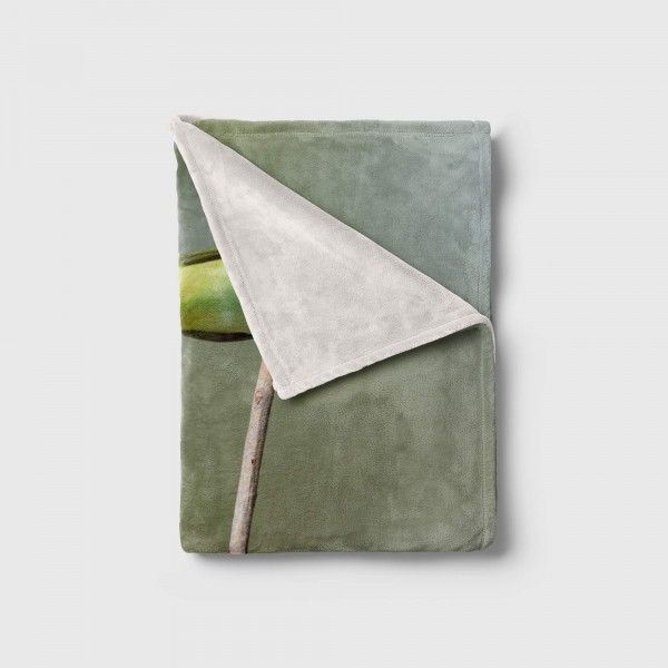 Paul Sinus Art Handtuch Strandhandtuch Saunatuch Kuscheldecke mit Tiermotiv kleine bunte Vögel Rabatte dieses Monats