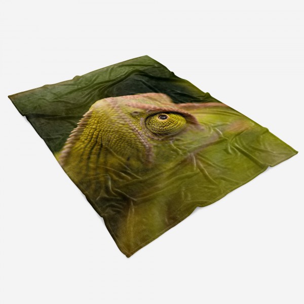 Paul Sinus Art Handtuch Strandhandtuch Saunatuch Kuscheldecke mit Tiermotiv Chamäleon Nahaufna 2025