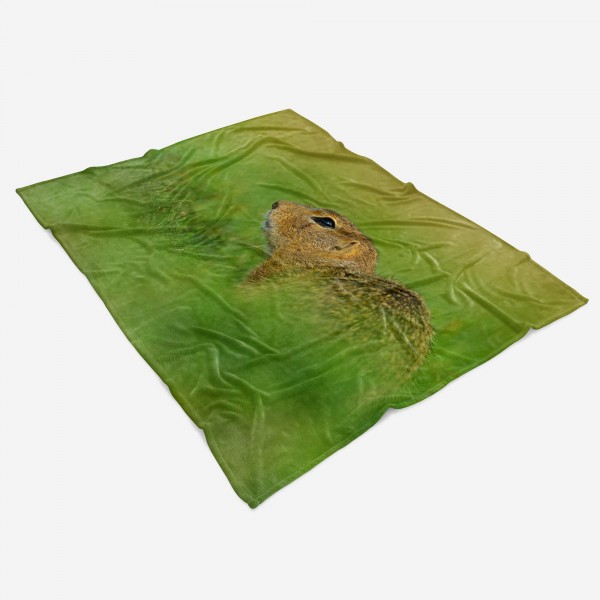 Paul Sinus Art Handtuch Strandhandtuch Saunatuch Kuscheldecke mit Tiermotiv Erdhörnchen im Gra im Angebot