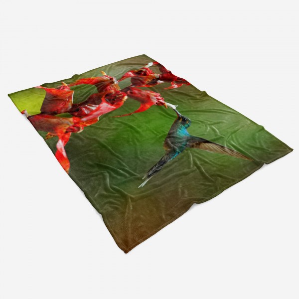 Paul Sinus Art Handtuch Strandhandtuch Saunatuch Kuscheldecke mit Tiermotiv Kolibri Blume Exot Schlussverkauf