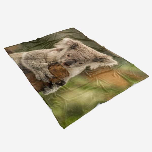 Paul Sinus Art Handtuch Strandhandtuch Saunatuch Kuscheldecke mit Tiermotiv Koalabär Koala Aus Meist gekauft
