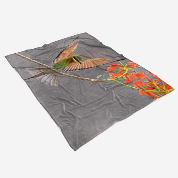 Paul Sinus Art Handtuch Strandhandtuch Saunatuch Kuscheldecke mit Tiermotiv schöner Vogel auf Kostenloser Versand
