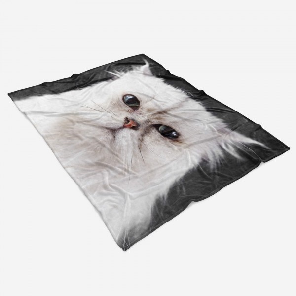 Paul Sinus Art Handtuch Strandhandtuch Saunatuch Kuscheldecke mit Tiermotiv missgelaunte Katze Fabrik Onlineshop
