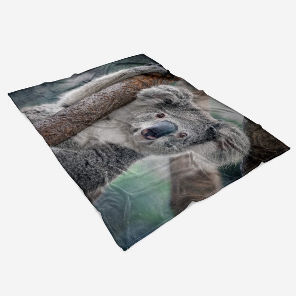 Paul Sinus Art Handtuch Strandhandtuch Saunatuch Kuscheldecke mit Tiermotiv Koalabär Koala Aus Günstig kaufen