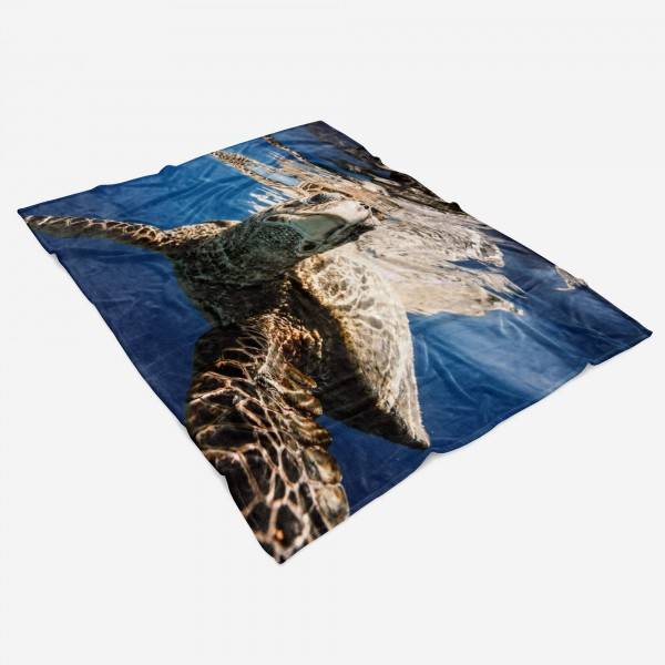 Paul Sinus Art Handtuch Strandhandtuch Saunatuch Kuscheldecke mit Tiermotiv Seeschildkröte unt Online Shopping