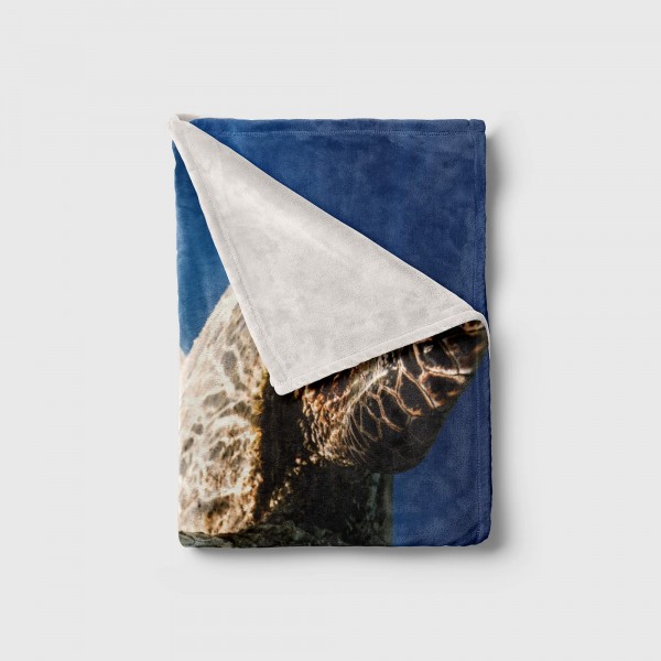 Paul Sinus Art Handtuch Strandhandtuch Saunatuch Kuscheldecke mit Tiermotiv Seeschildkröte unt Online Shopping