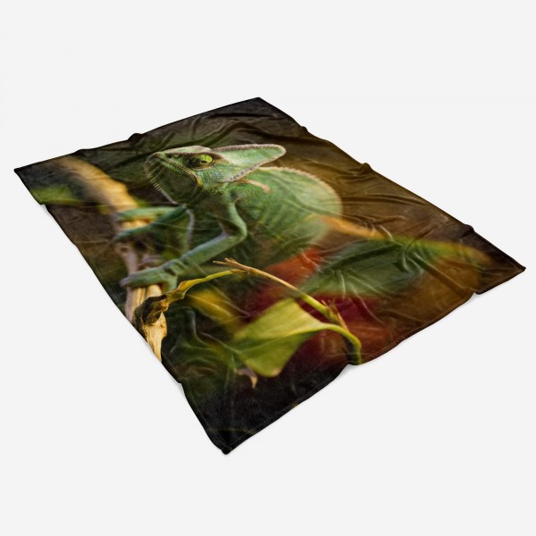 Paul Sinus Art Handtuch Strandhandtuch Saunatuch Kuscheldecke mit Tiermotiv Chamäleon Dschunge Cyber Monday