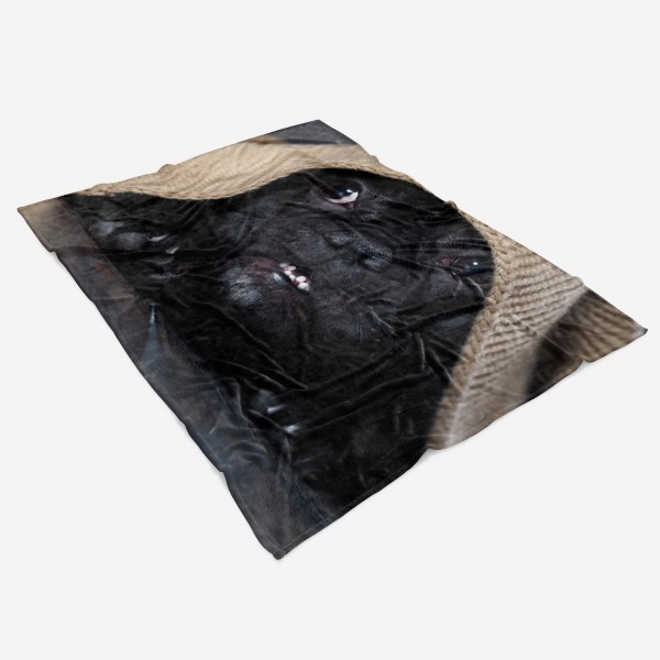 Paul Sinus Art Handtuch Strandhandtuch Saunatuch Kuscheldecke mit Tiermotiv süßer kleiner Hund Osterangebot