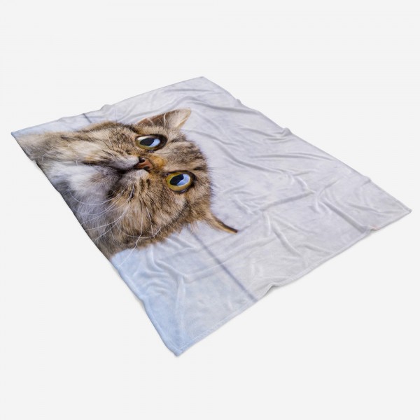 Paul Sinus Art Handtuch Strandhandtuch Saunatuch Kuscheldecke mit Tiermotiv lustige Katze Jubiläumsangebot