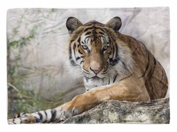 Paul Sinus Art Handtuch Strandhandtuch Saunatuch Kuscheldecke mit Tiermotiv großer Tiger