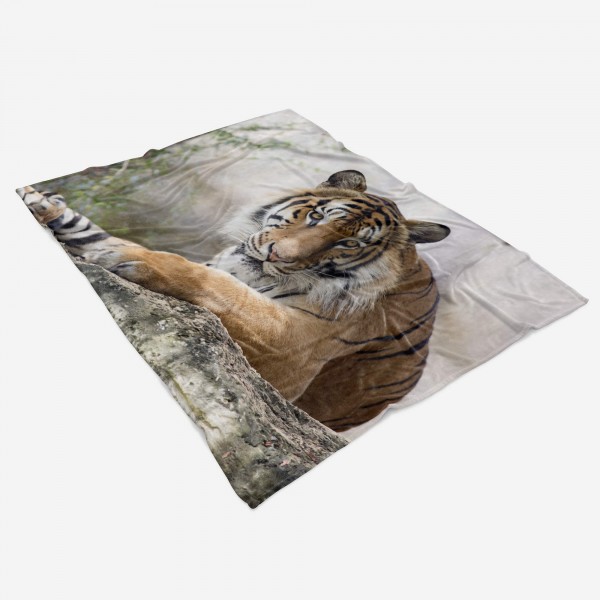 Paul Sinus Art Handtuch Strandhandtuch Saunatuch Kuscheldecke mit Tiermotiv großer Tiger Große Rabatte
