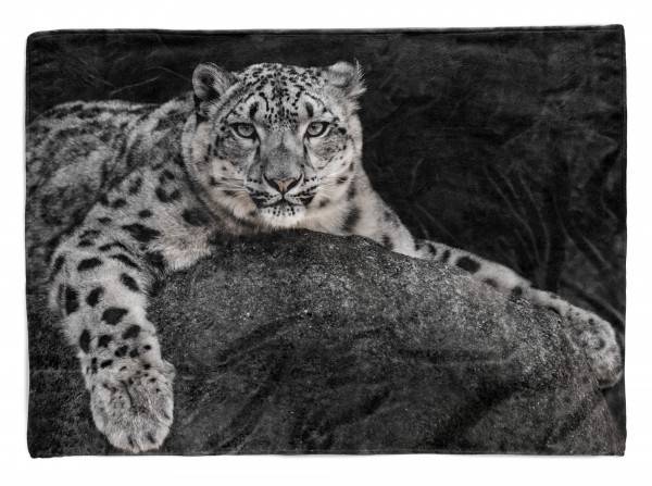 Paul Sinus Art Handtuch Strandhandtuch Saunatuch Kuscheldecke mit Tiermotiv Schneeleopard