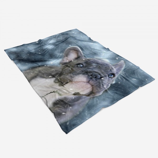 Paul Sinus Art Handtuch Strandhandtuch Saunatuch Kuscheldecke mit Tiermotiv kleiner süßer Welp Bestseller
