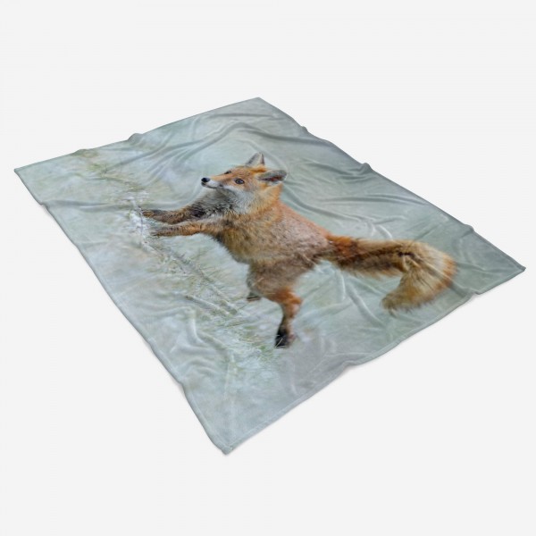 Paul Sinus Art Handtuch Strandhandtuch Saunatuch Kuscheldecke mit Tiermotiv kleiner Fuchs Räumungsverkauf