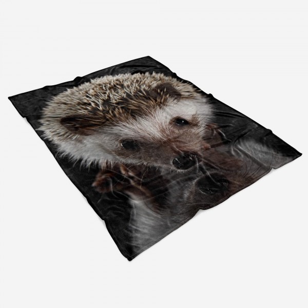 Paul Sinus Art Handtuch Strandhandtuch Saunatuch Kuscheldecke mit Tiermotiv süßer Igel Sonderangebote