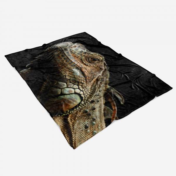 Paul Sinus Art Handtuch Strandhandtuch Saunatuch Kuscheldecke mit Tiermotiv Leguan Echse VIP-Rabatte
