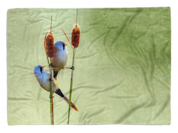Paul Sinus Art Handtuch Strandhandtuch Saunatuch Kuscheldecke mit Tiermotiv kleine Vögel auf R