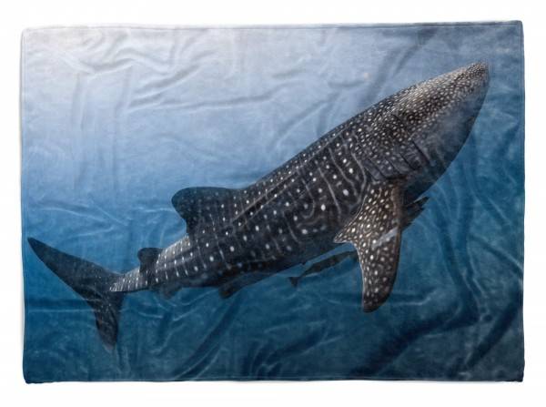 Paul Sinus Art Handtuch Strandhandtuch Saunatuch Kuscheldecke mit Tiermotiv Walhai unter Wasse