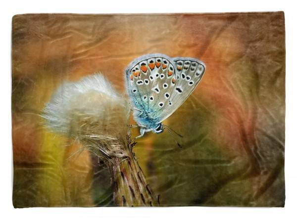 Paul Sinus Art Handtuch Strandhandtuch Saunatuch Kuscheldecke mit Tiermotiv Schmetterling Naha