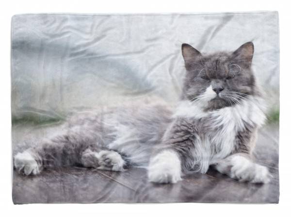 Paul Sinus Art Handtuch Strandhandtuch Saunatuch Kuscheldecke mit Tiermotiv schöner Kater Katz