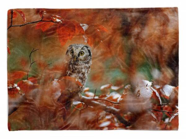 Paul Sinus Art Handtuch Strandhandtuch Saunatuch Kuscheldecke mit Tiermotiv keine Eule im Wald