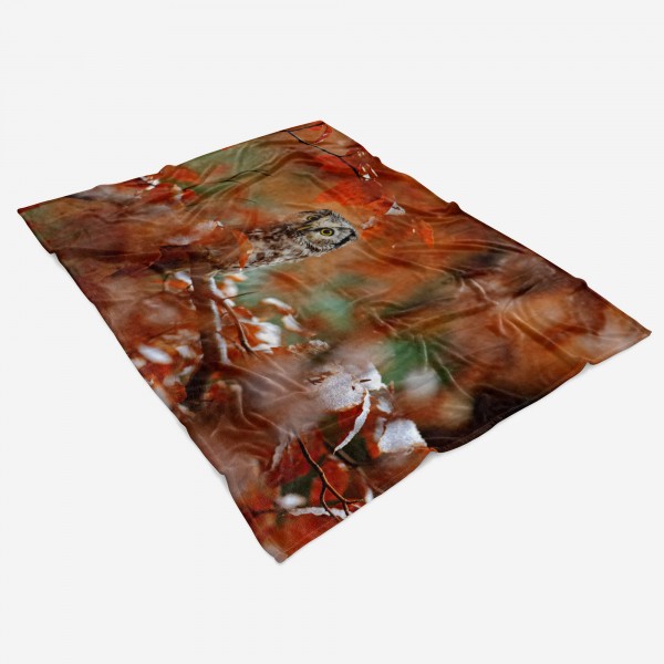 Paul Sinus Art Handtuch Strandhandtuch Saunatuch Kuscheldecke mit Tiermotiv keine Eule im Wald Sonderangebot der Fabrik