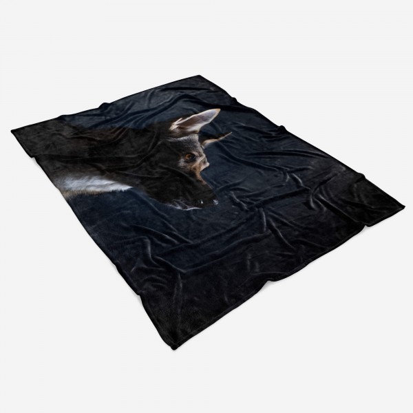 Paul Sinus Art Handtuch Strandhandtuch Saunatuch Kuscheldecke mit Tiermotiv Hund Kostenloser Versand international