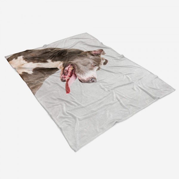 Paul Sinus Art Handtuch Strandhandtuch Saunatuch Kuscheldecke mit Tiermotiv Hund Black Friday Preise