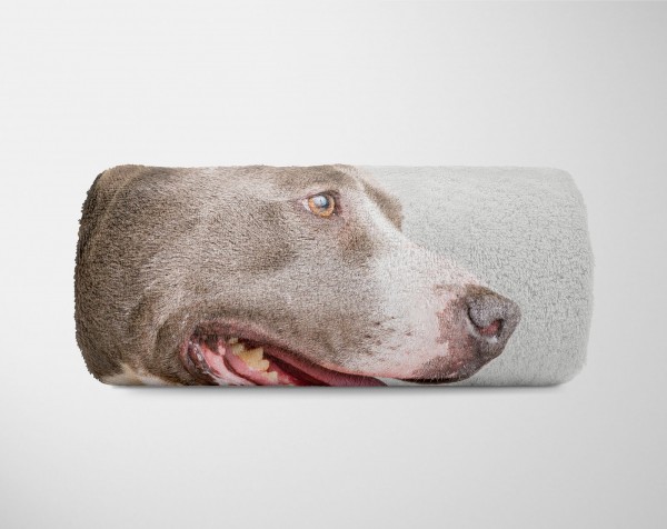 Paul Sinus Art Handtuch Strandhandtuch Saunatuch Kuscheldecke mit Tiermotiv Hund Black Friday Preise